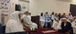 نمایش وحدت و همدلی اسلامی در سرزمین وحی؛ زائران شیعه و سنی ایران در کنار یکدیگر 3